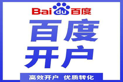 专业SEM服务公司案例分析报告